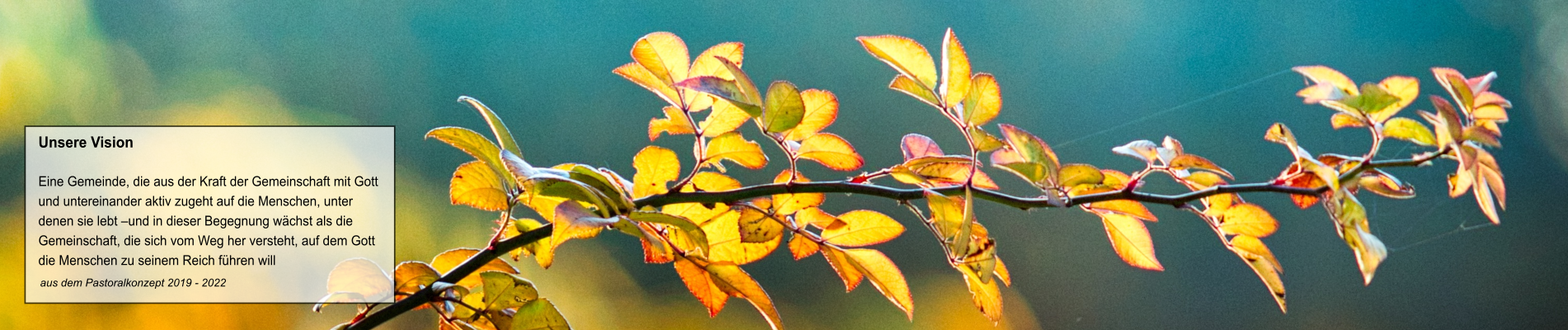 Herbst_1902_Vision
