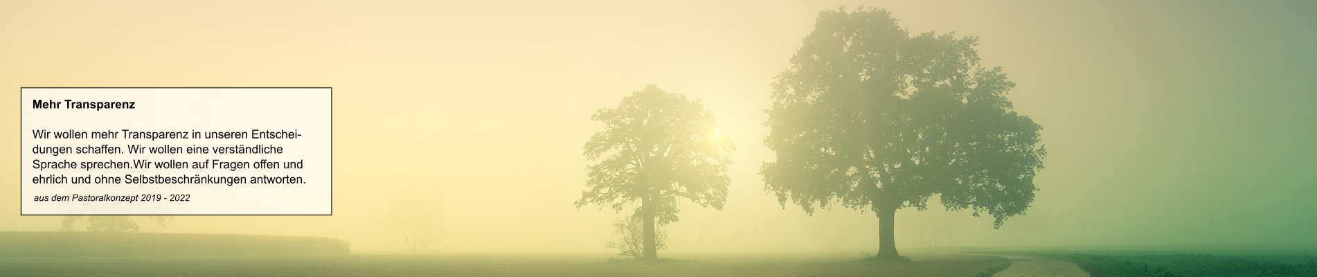 Nebel_1902_2_Transparenz