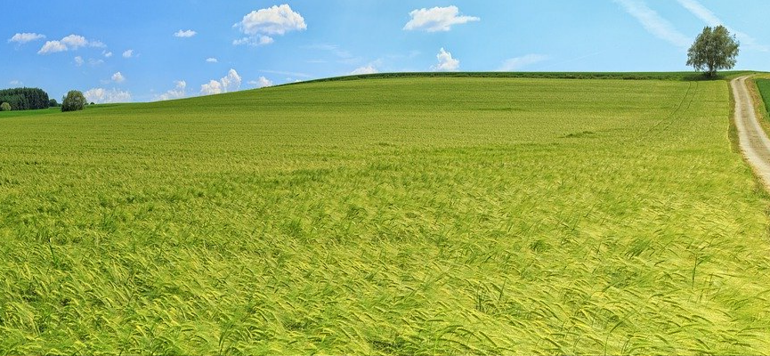 Wiesenweg_Räume_1902