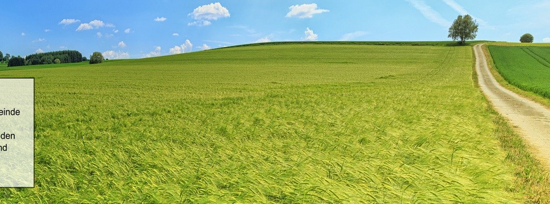 Wiesenweg_Räume_1902