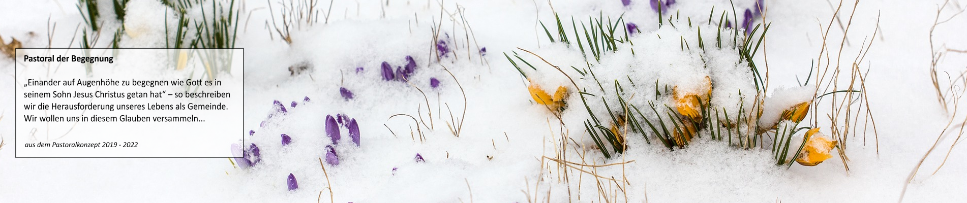 Winterblumen_1902_Pastoral