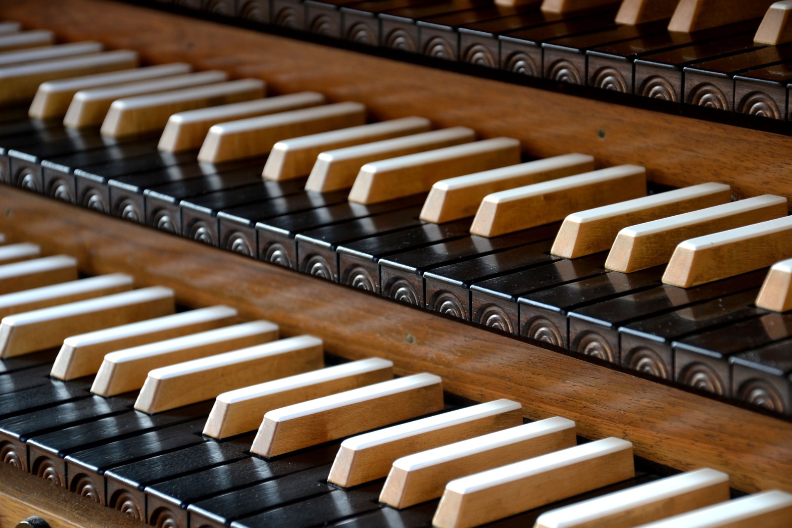 organ-4355592_1920